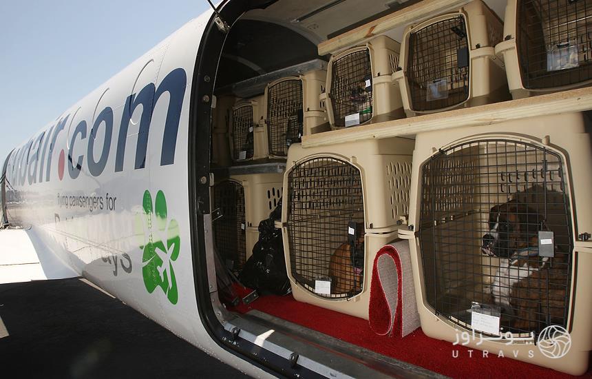حمل حیوانات خانگی با هواپیما